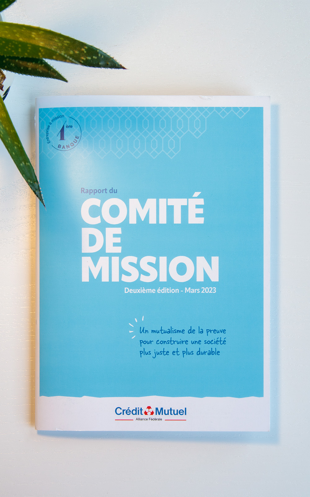 Rapport-comite-mission-Crédit-Mutuel-2022